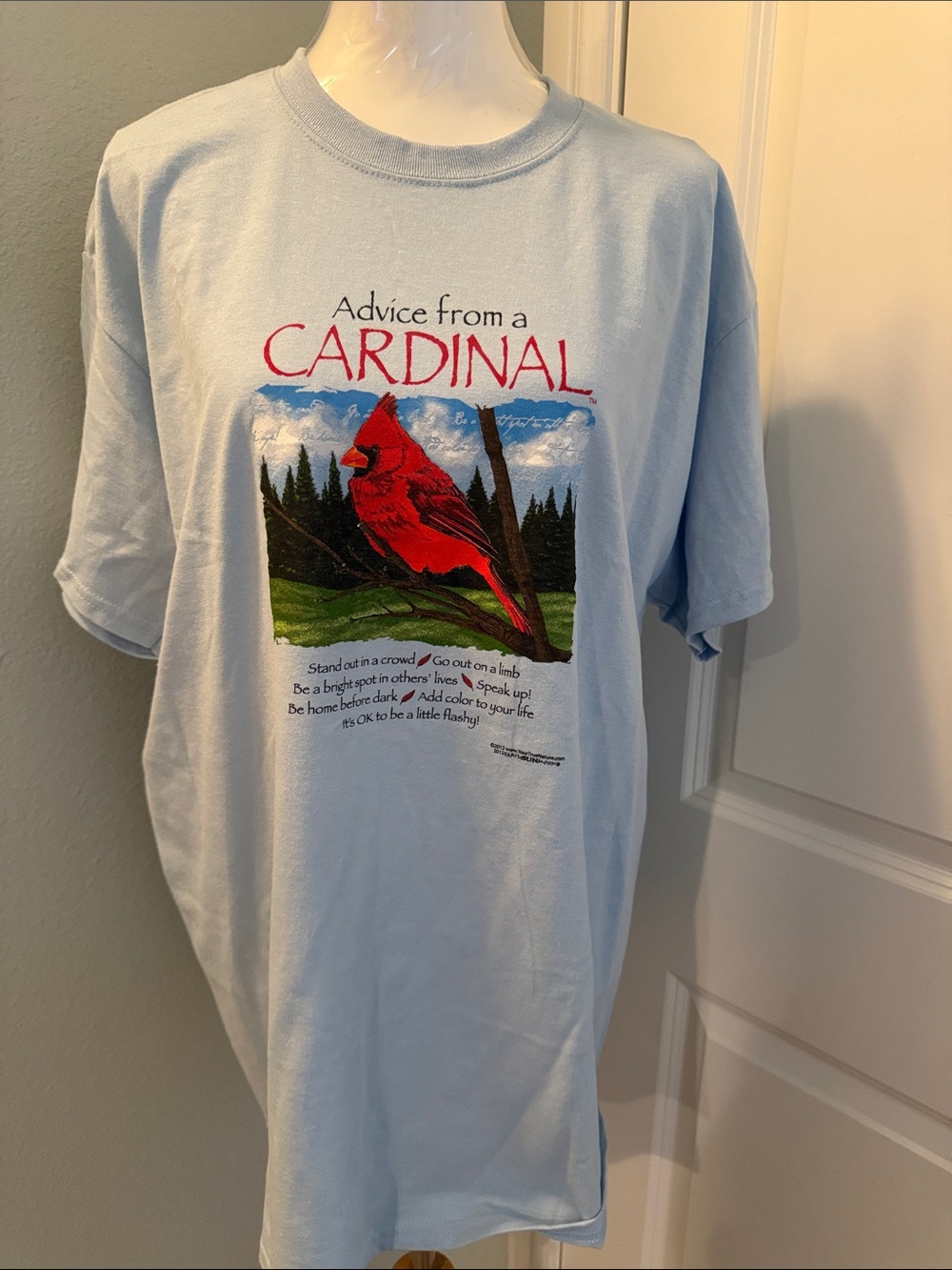 Advice from a Cardinal Graphic Tee - Light Blue